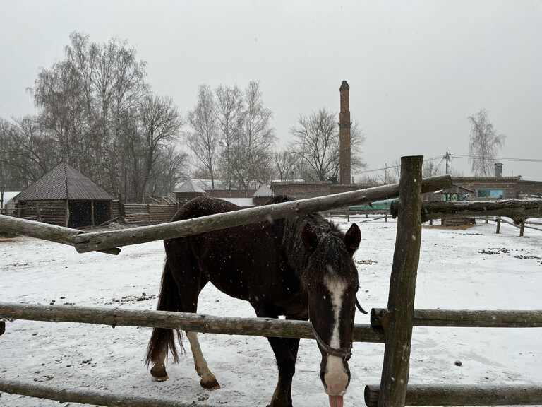 Гостиница Знаменская Богатырская Застава Орёл-235
