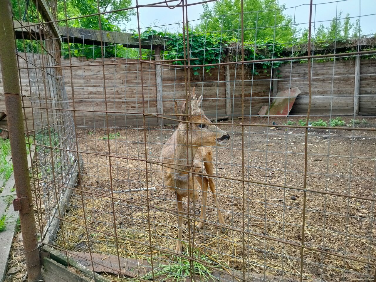 Гостиница Знаменская Богатырская Застава Орёл-150