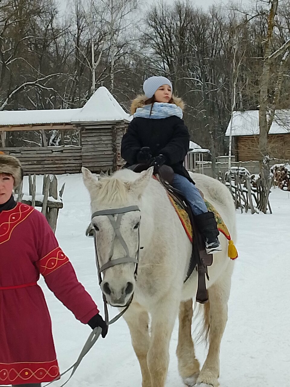 Гостиница Знаменская Богатырская Застава Орёл-142