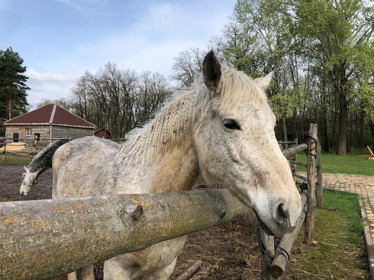 Гостиница Знаменская Богатырская Застава Орёл-233