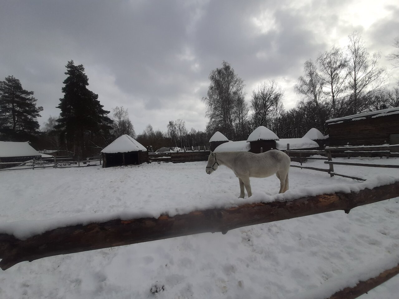 Гостиница Знаменская Богатырская Застава Орёл-203
