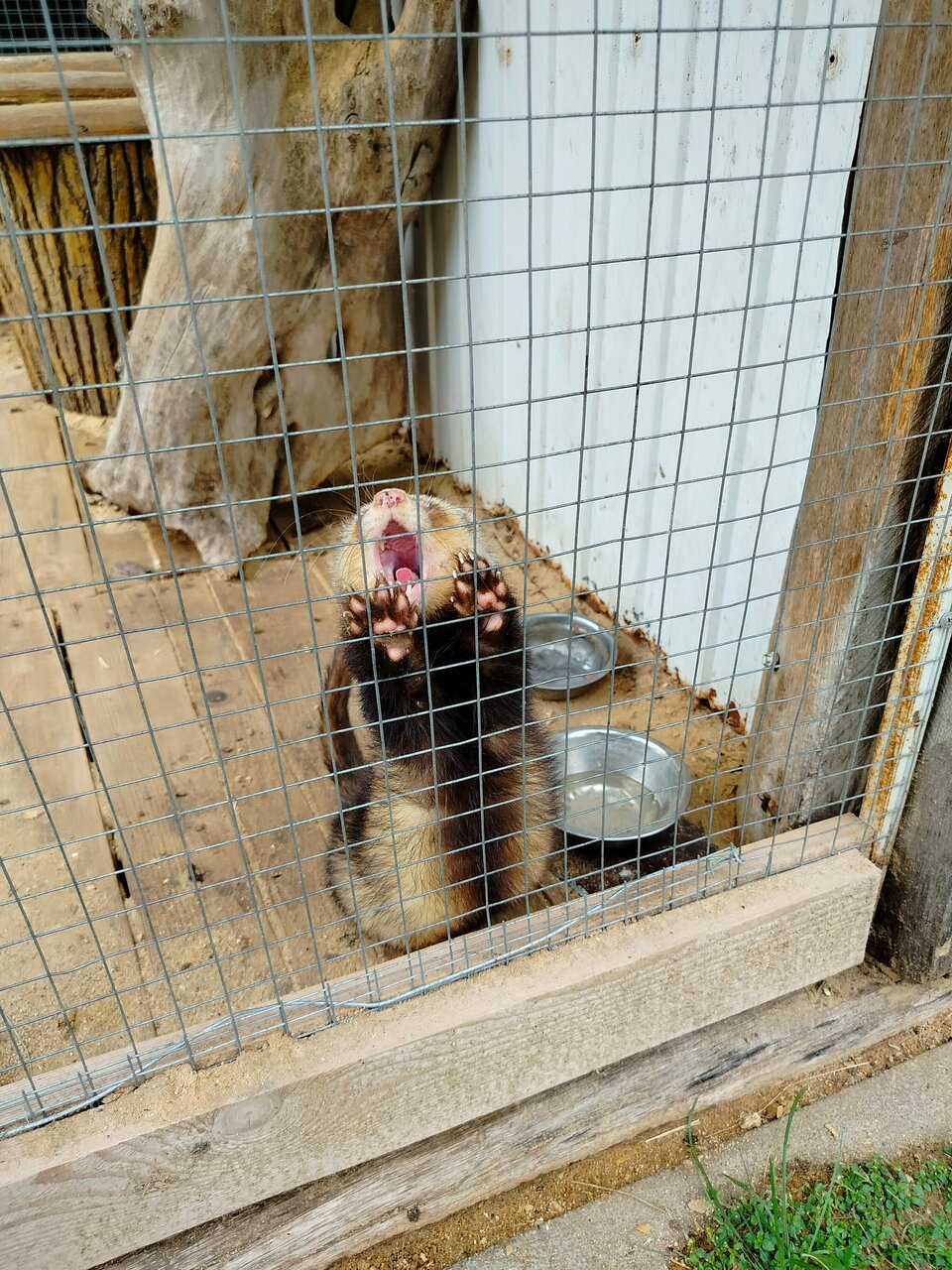 Гостиница Знаменская Богатырская Застава Орёл-249