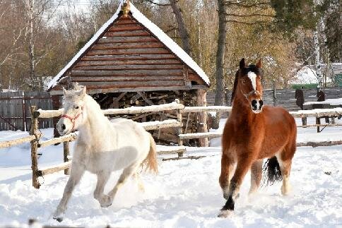 Гостиница Знаменская Богатырская Застава Орёл-6
