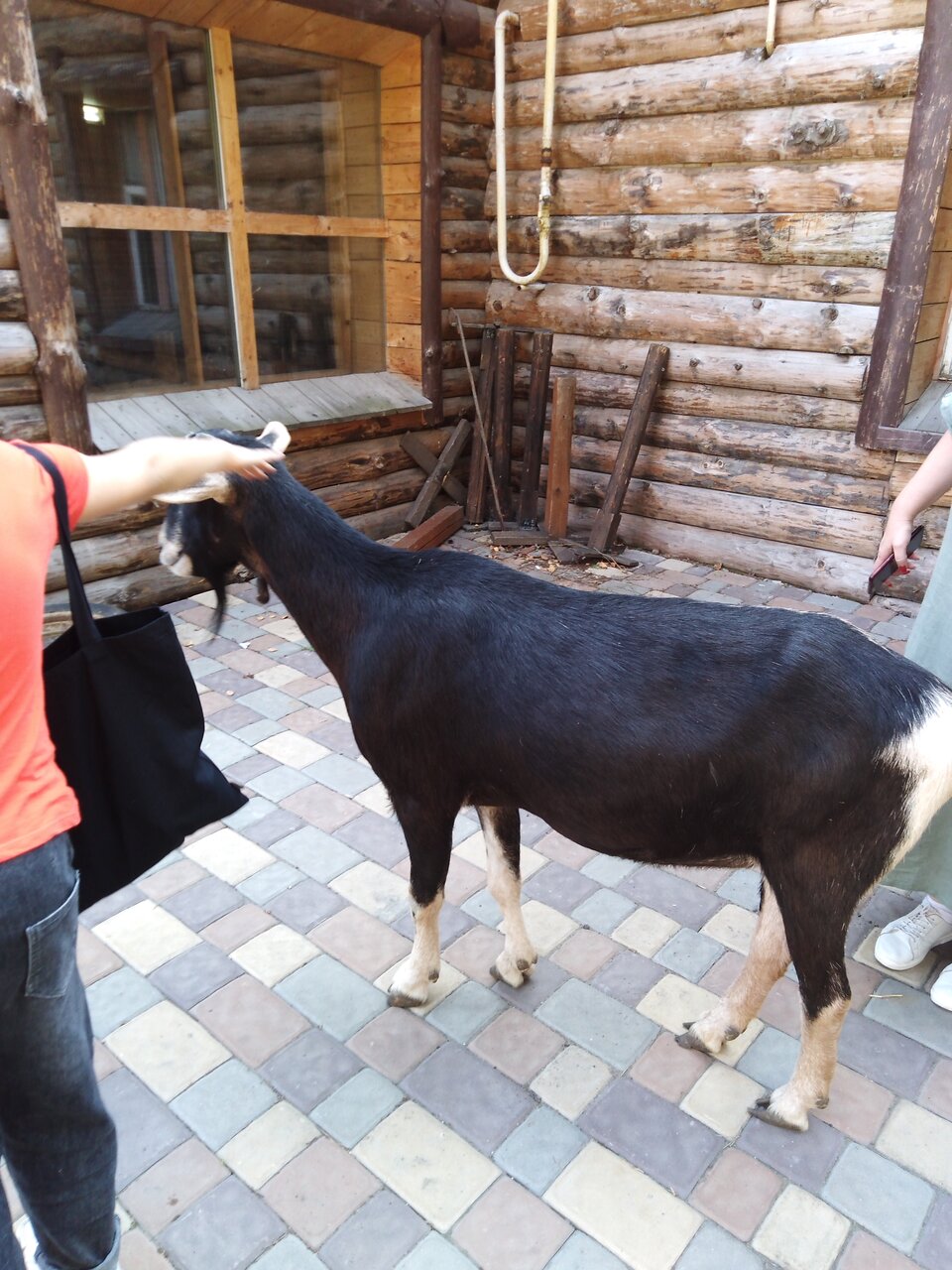 Гостиница Знаменская Богатырская Застава Орёл