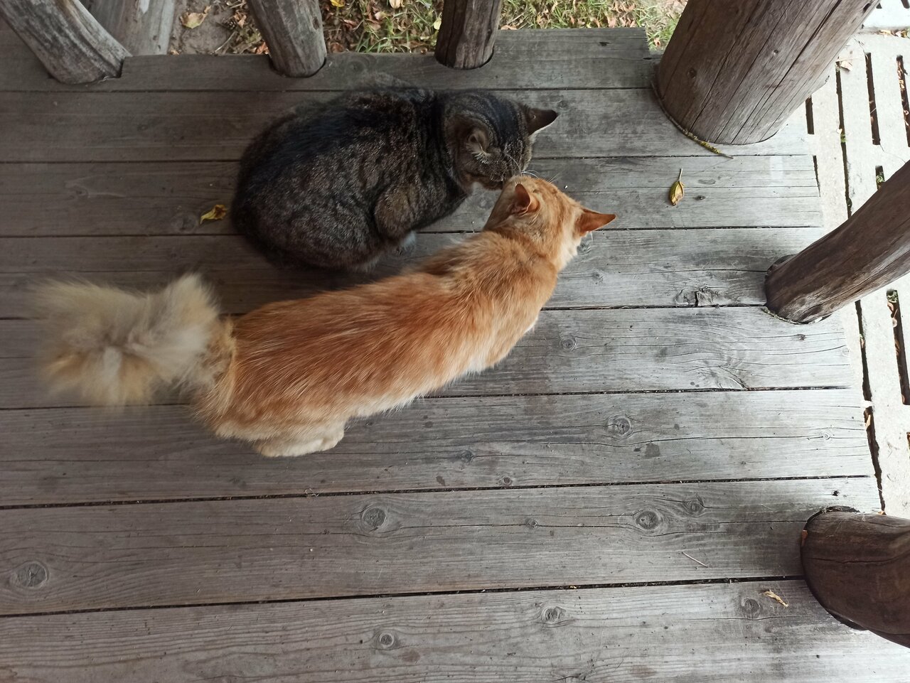 Гостиница Знаменская Богатырская Застава Орёл-179