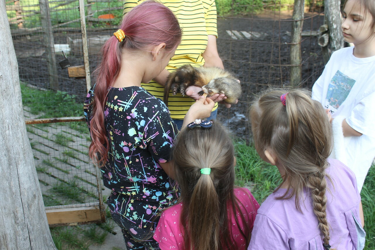 Гостиница Знаменская Богатырская Застава Орёл-237