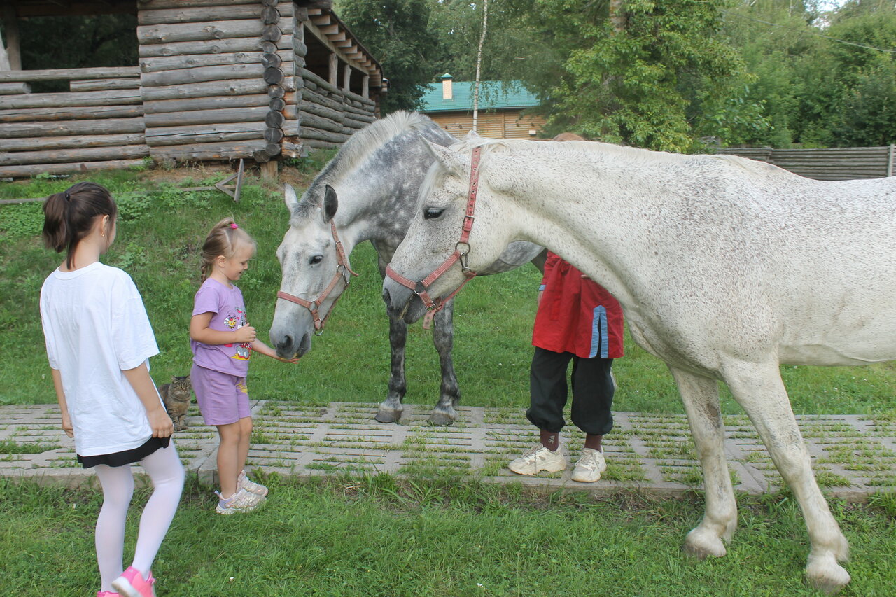 Гостиница Знаменская Богатырская Застава Орёл-177
