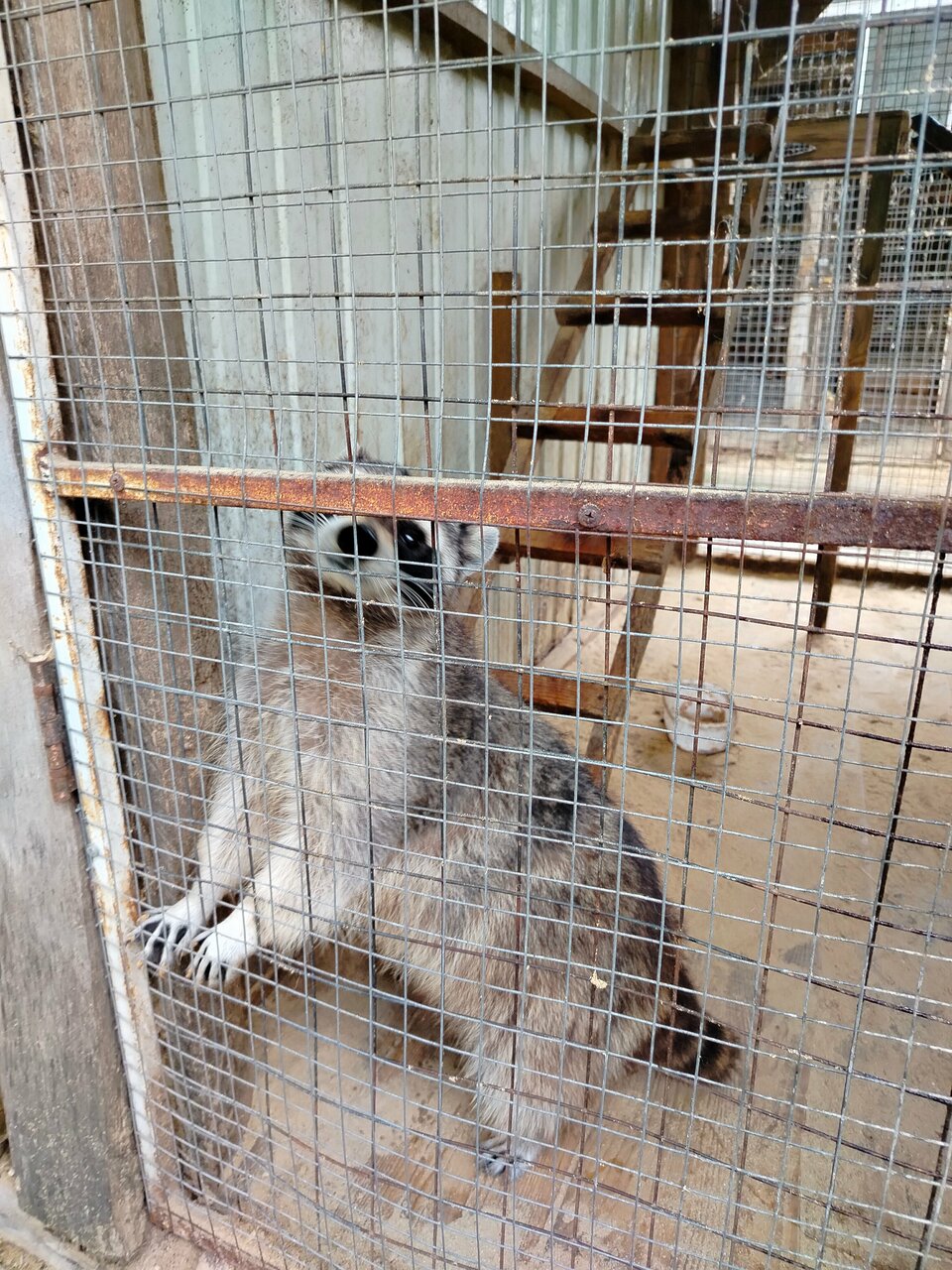 Гостиница Знаменская Богатырская Застава Орёл-199