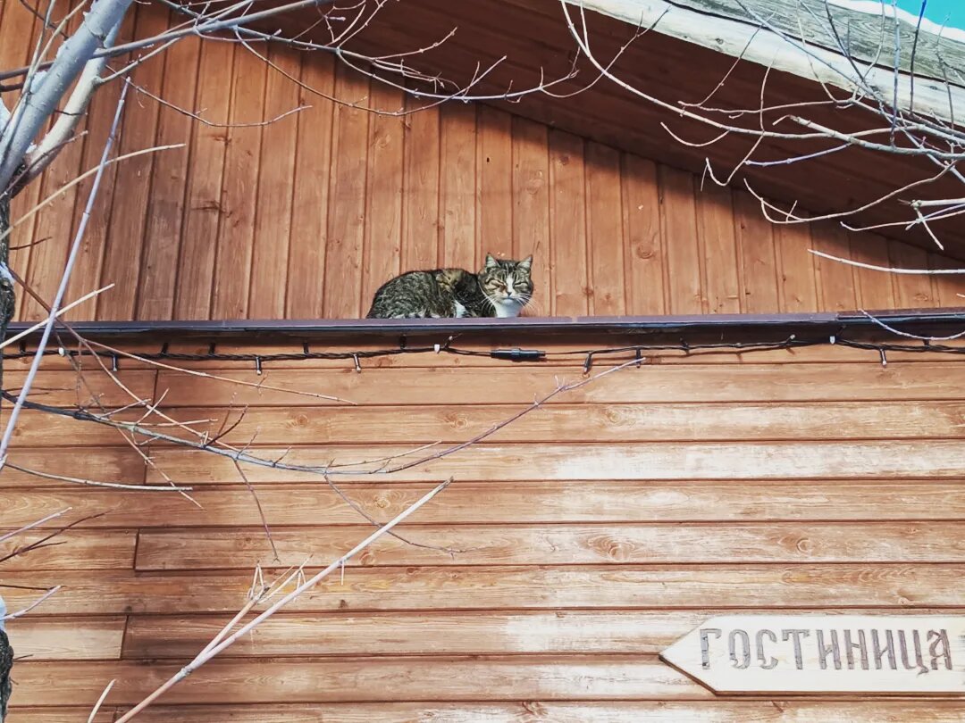 Гостиница Знаменская Богатырская Застава Орёл-190