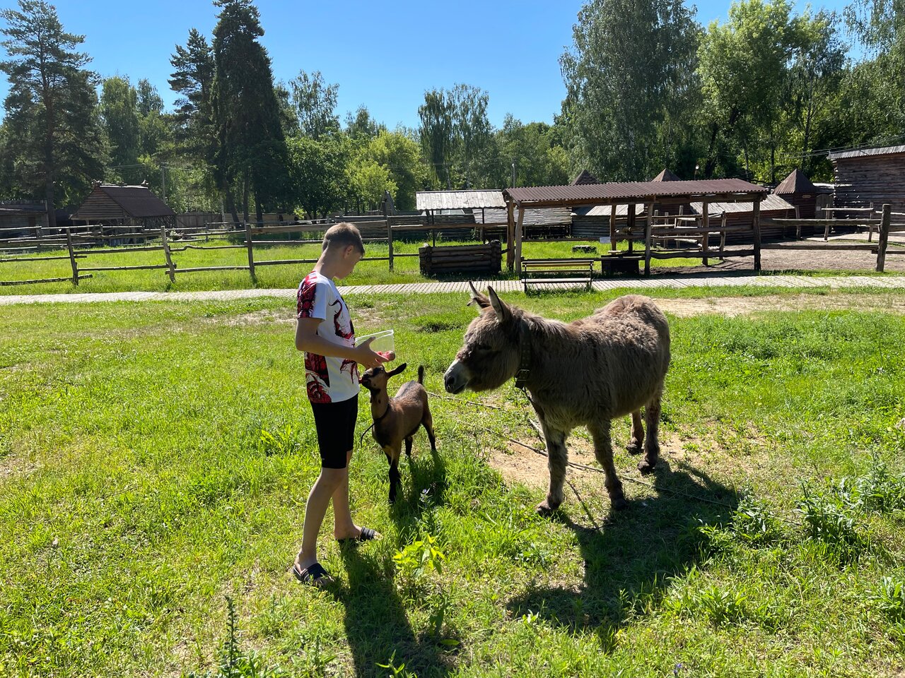 Гостиница Знаменская Богатырская Застава Орёл-196