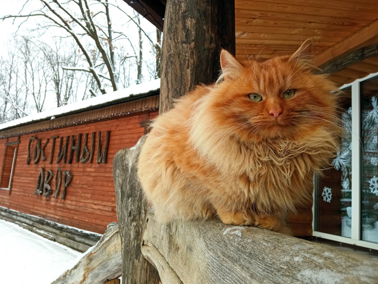 Гостиница Знаменская Богатырская Застава Орёл-107