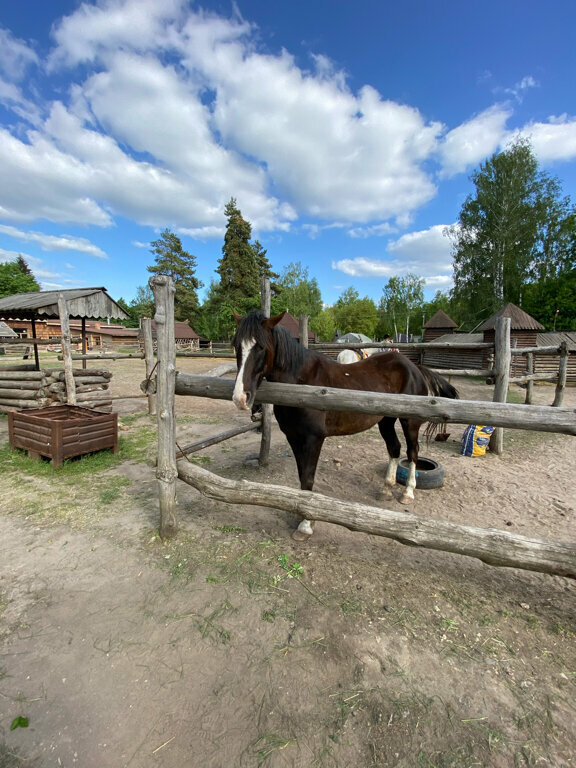 Гостиница Знаменская Богатырская Застава Орёл-157