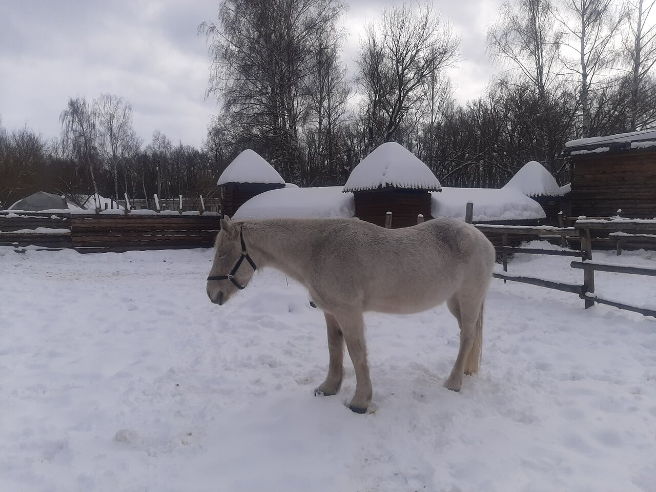 Гостиница Знаменская Богатырская Застава Орёл-230