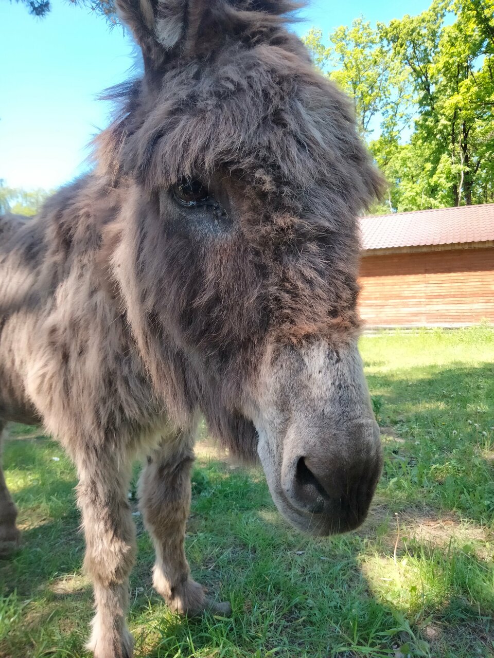Гостиница Знаменская Богатырская Застава Орёл-147