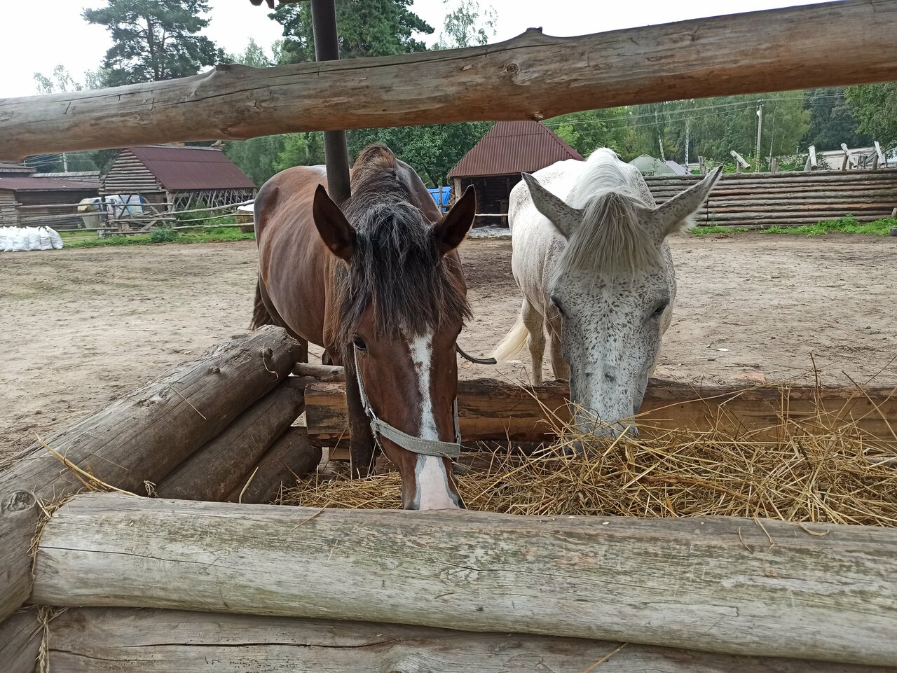 Гостиница Знаменская Богатырская Застава Орёл-122