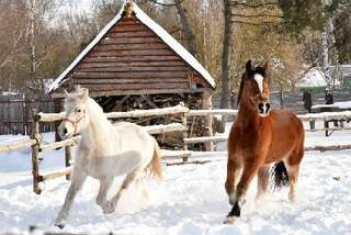 Гостиница Знаменская Богатырская Застава Орёл-2